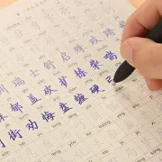 Abrieron las inscripciones para estudiar idioma chino en la Unju