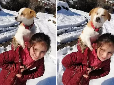 nena-perro