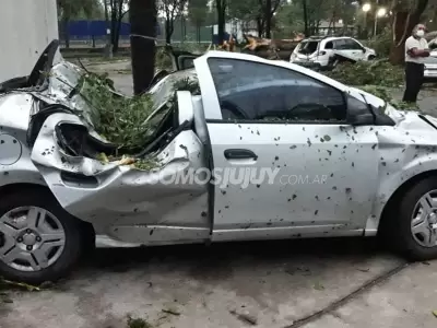auto-2