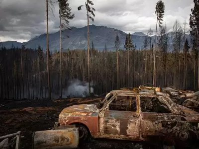 incendios