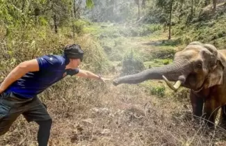 elefante-y-veterinario