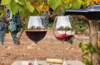 vinos-argentina