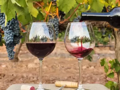 vinos-argentina