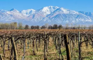 mendoza-