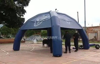 carpa-azul