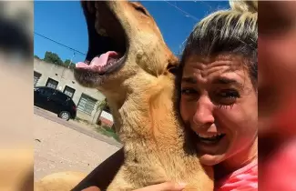 perro-encontrado