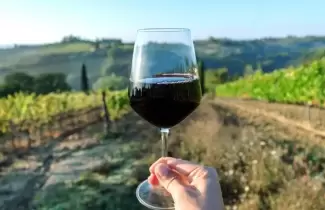 malbec