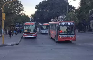 colectivos