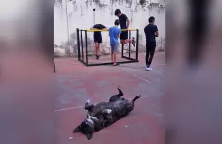 la-china-haciendo-ejercicio-