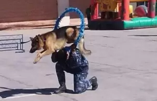 exhibicion-perros-policias