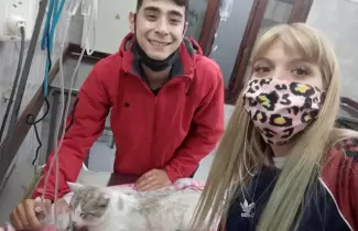 un-ojven-salvo-a-un-gato