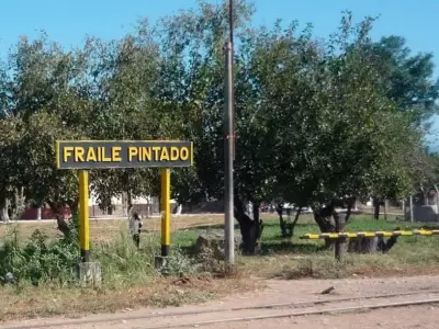 fraile-pintado