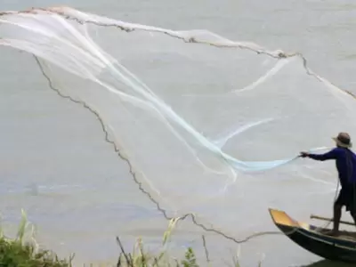 Pesca-ilegal