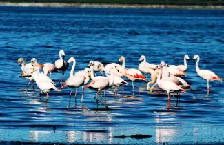 parque-nacional-ansenuza-04