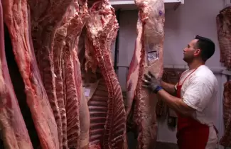 carne-exportacion-