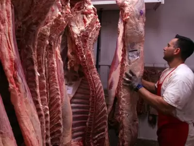 carne-exportacion-