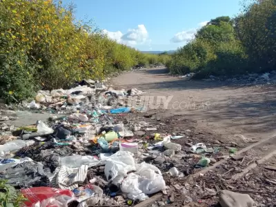 reciclaje-basura