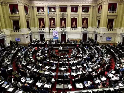 camara-de-diputados