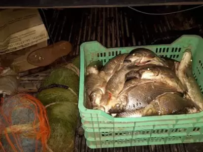 Pesca-ilegal-en-Palma-Sola