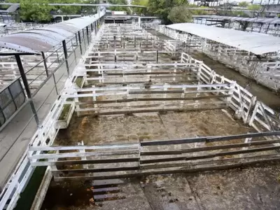 campo-paro