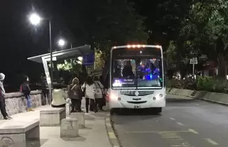 cole-noche