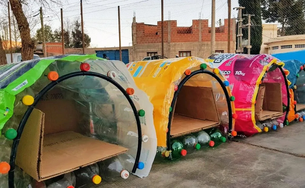 Jóvenes de Humahuaca hacen casitas para perros callejeros con materiales  reciclables - Somos Jujuy