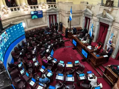 senado