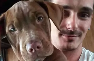 perrito-