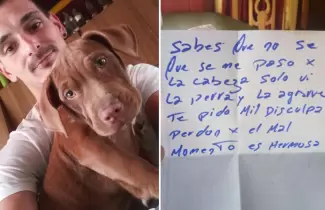 perrita
