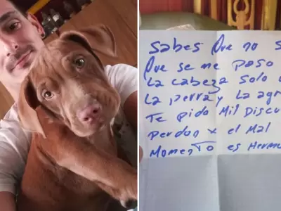 perrita
