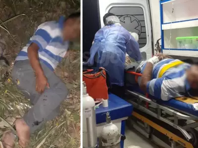 agresor-perico-