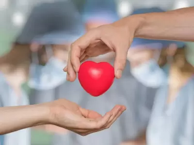 donacion-de-organos