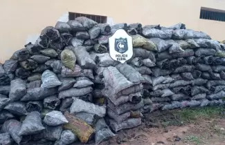 decomisaron-500-kg-carbon