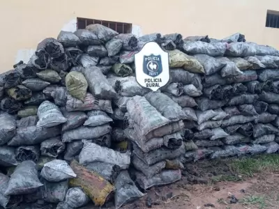 decomisaron-500-kg-carbon