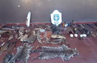 pieles-de-animales-y-armas