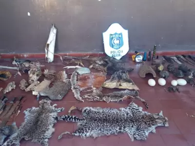 pieles-de-animales-y-armas