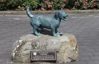 perro-estatua