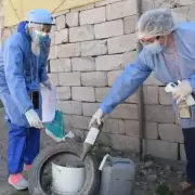 Confirmaron nuevos casos de dengue en Jujuy: suman 151 y hay 13 personas internadas