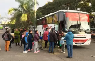 colectivos-1
