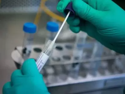 coronavirus-2