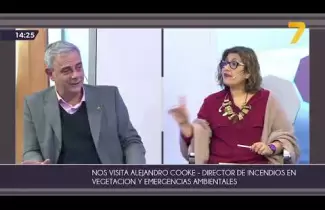 hqdefault-2
