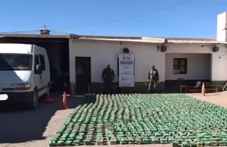 hojas-de-coca
