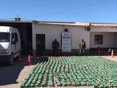 hojas-de-coca