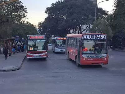 colectivos