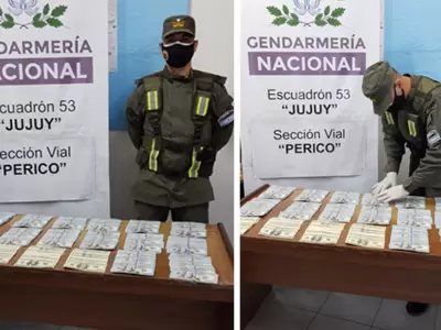 gendarmeria-dolares-falsos-perico