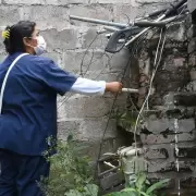 Dengue en Jujuy: "Vamos varias veces a las casas y siguen los mismos cacharros juntando agua"