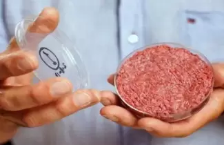 hamburguesa-de-carne-sintetica