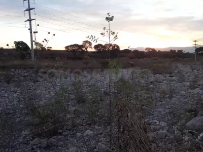 rio-los-alisos