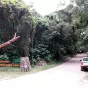 Por los cortes en la Quebrada, aumentaron los visitantes en el Parque Nacional Calilegua