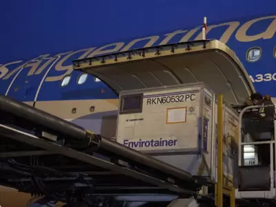 vuelo-aerolineas-llegada